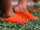 “Jelly Slides”